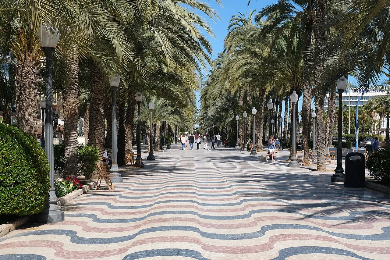 The wave-patterned paving and palms of Alicante's Explanada