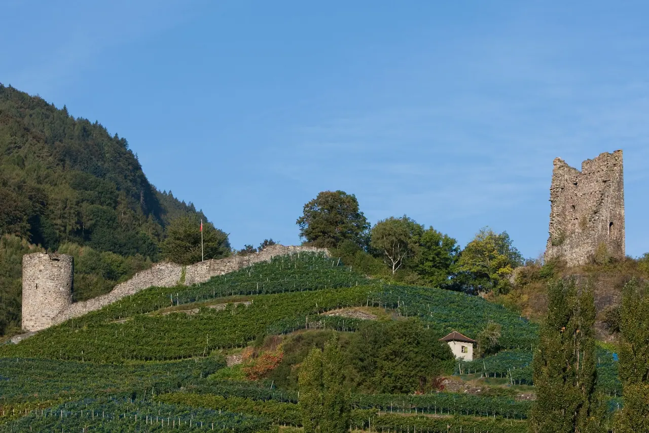 Los muros de piedra conservados del castillo de Freudenberg sobre un terreno de hierba