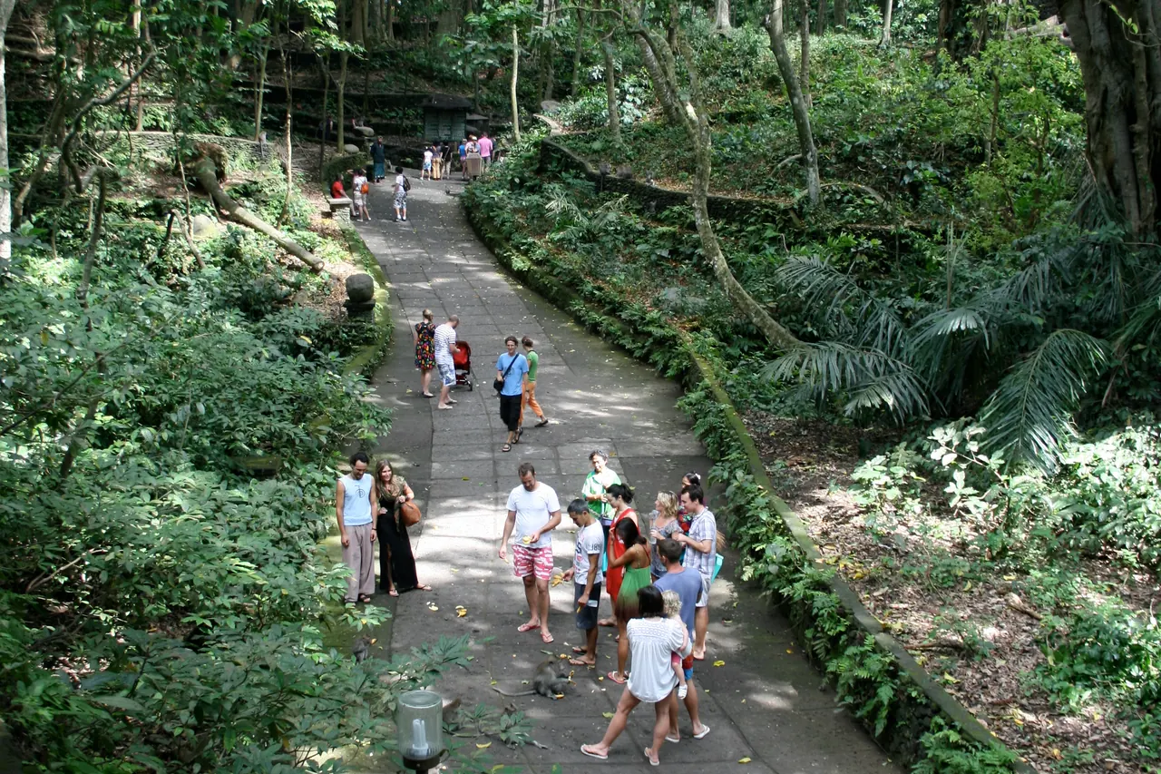 Visitors walking through dense woodland at Ubud Sacred Monkey Forest