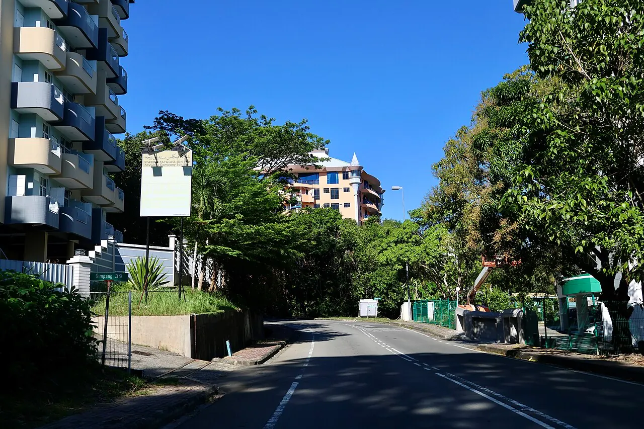 A tree-lined street and neighbouring buildings in Kampong Kianggeh