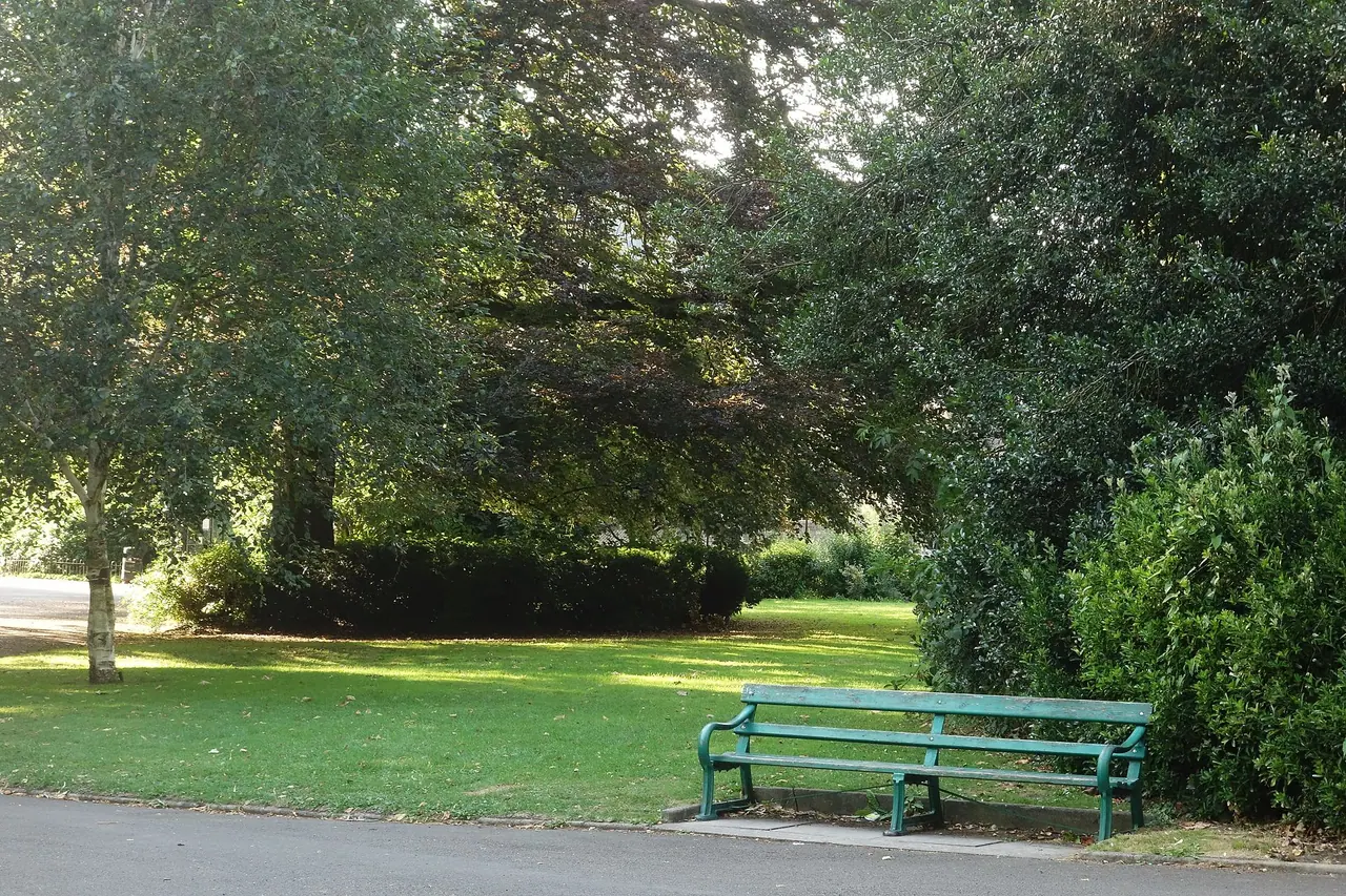 A park path and bench among grass and trees in Sydney Gardens