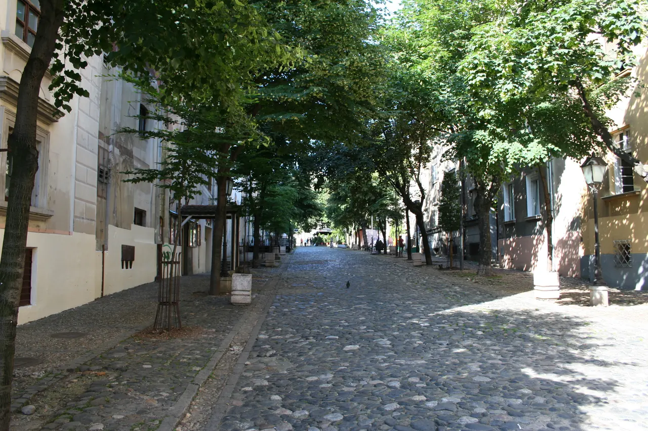 Cobblestones, trees and restaurant terraces on Belgrade's Skadarlija