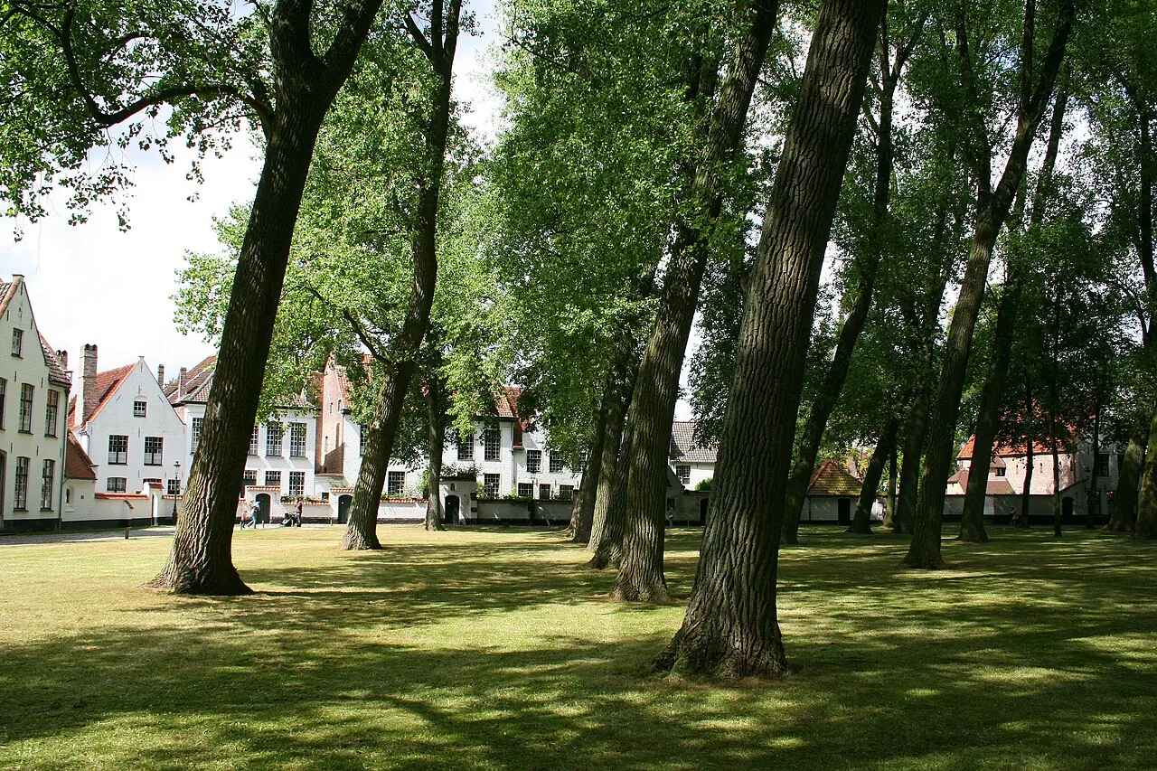 White houses and trees around the courtyard of Bruges's beguinage