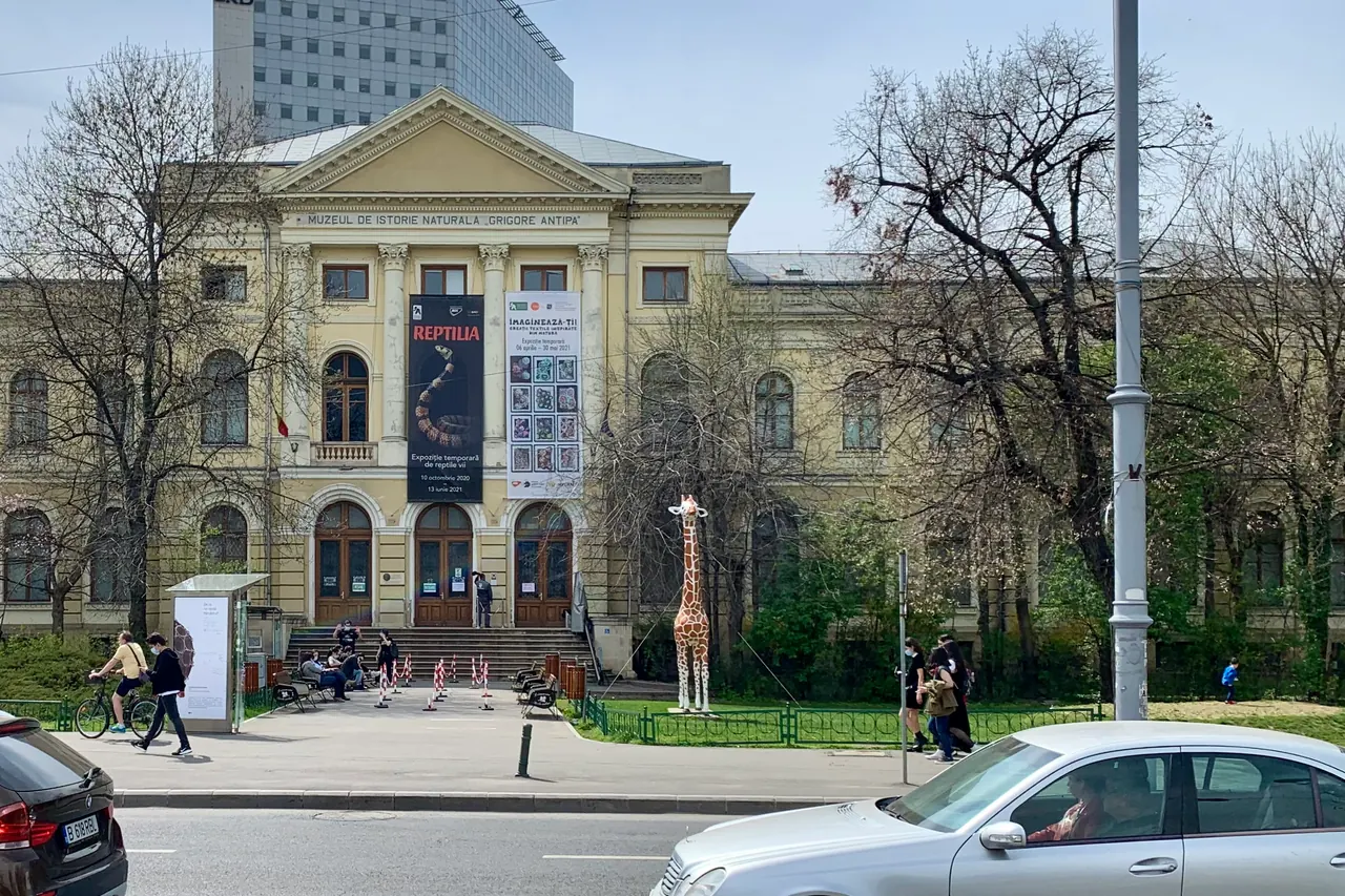Classical facade of the Grigore Antipa Natural History Museum