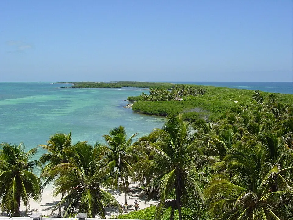 Coast, palms and mangroves of Isla Contoy beside turquoise water