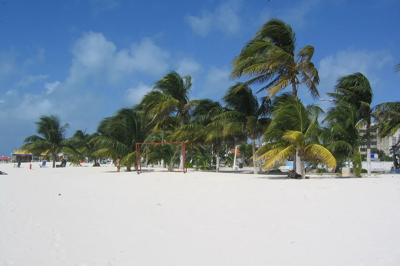White sand and palm trees on a beach on Isla Mujeres