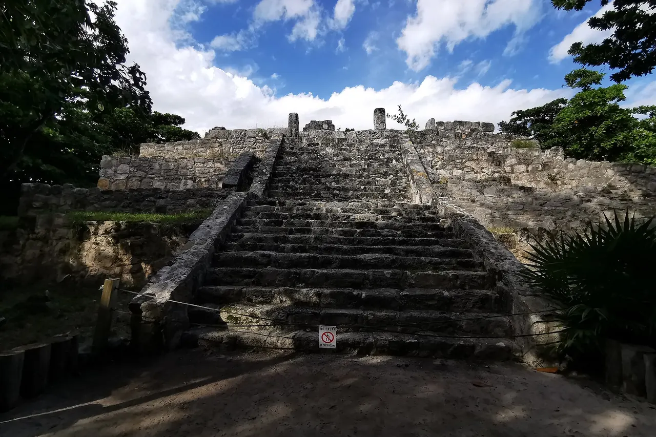 Stone steps and temple platform in the wooded San Miguelito archaeological site