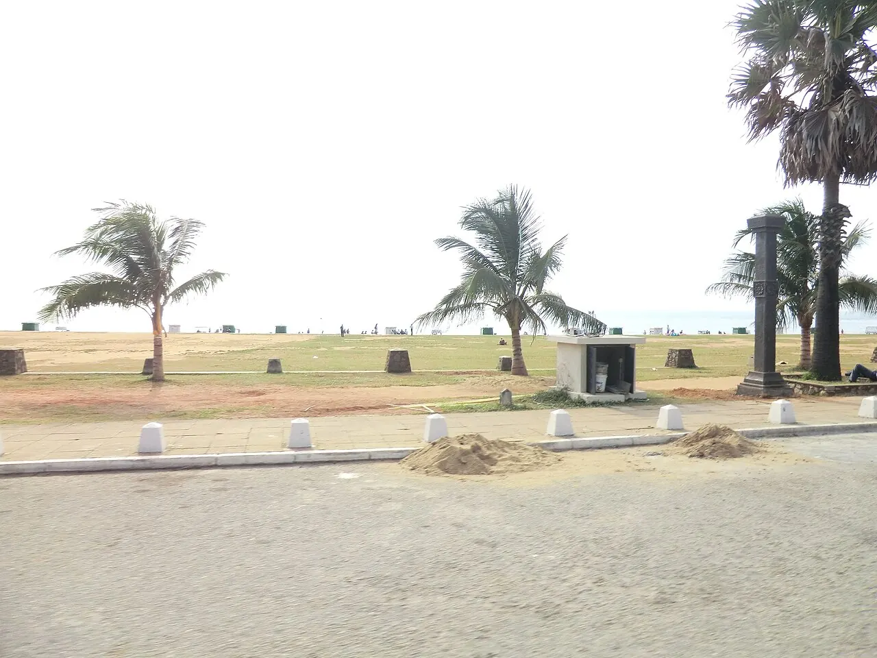 Die zum Meer gewandte Rasenfläche mit Palmen am Galle Face Green