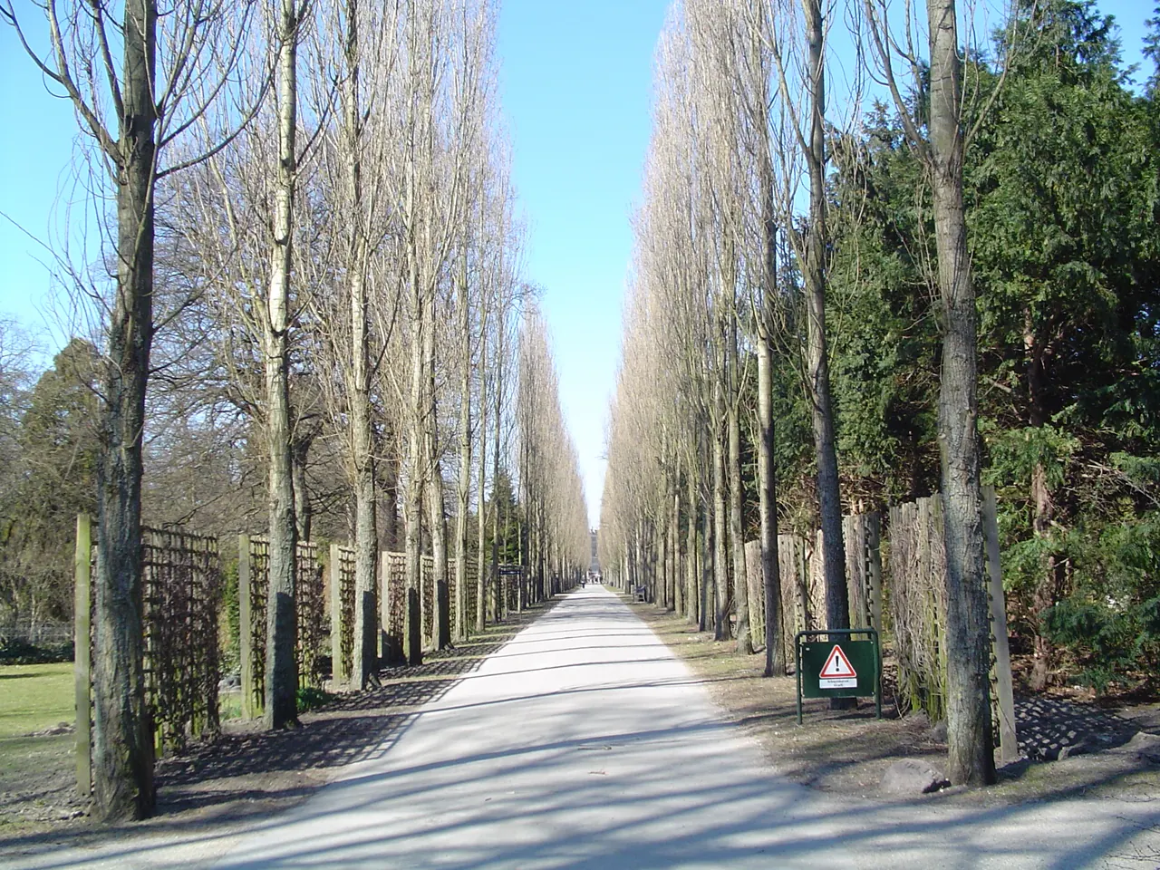 Tree-lined paths at Assistens Cemetery in Copenhagen's Norrebro district