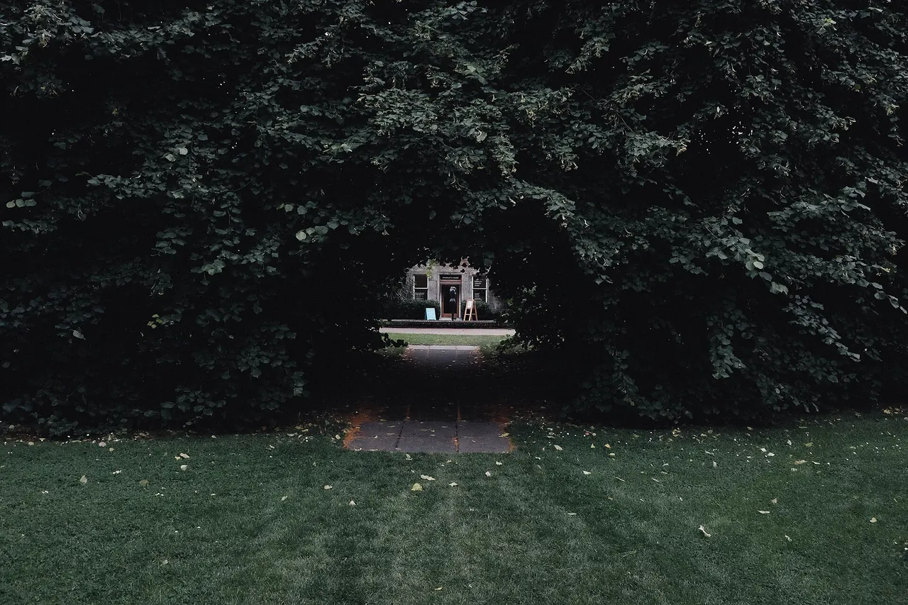 A tree-lined garden path at the Royal Botanic Garden Edinburgh