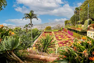 Patterned planting and paths in Madeira Botanical Garden