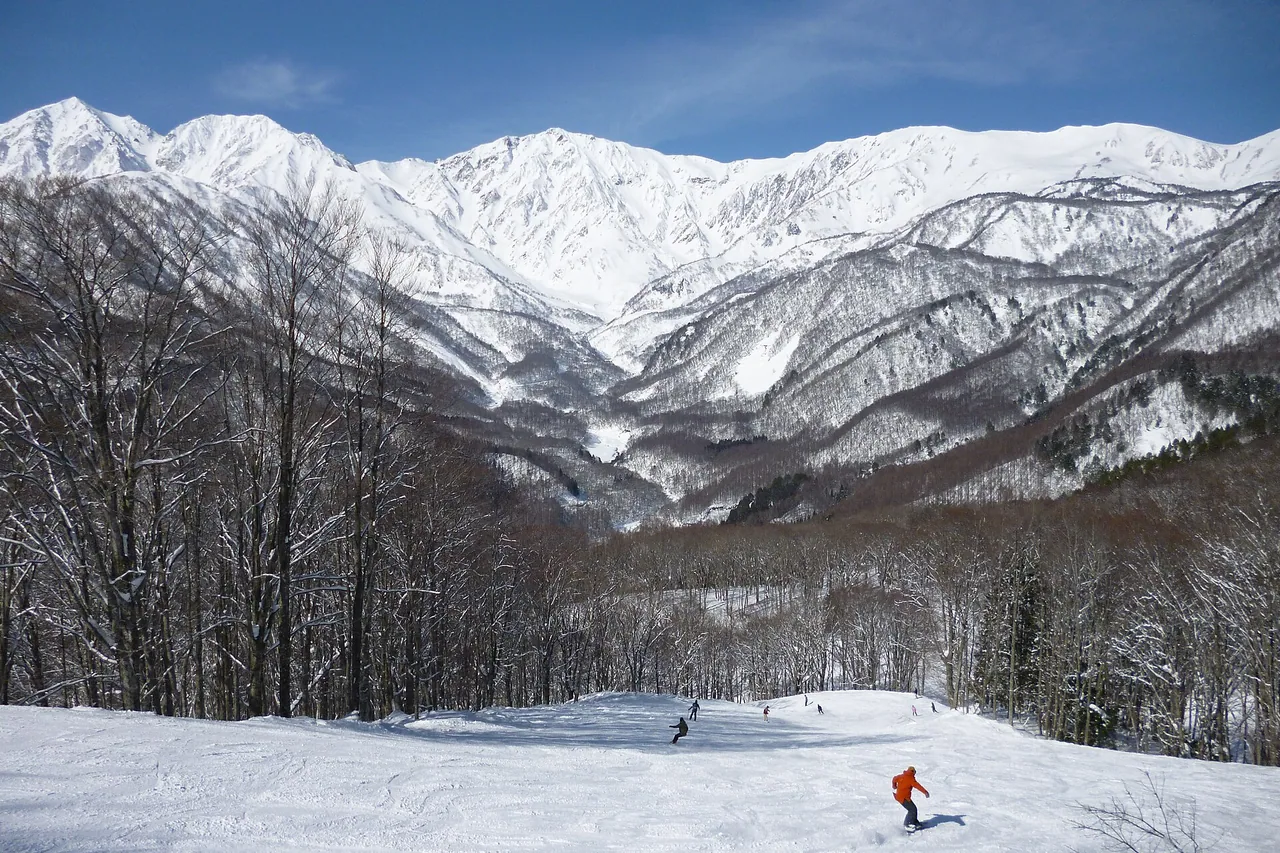 Landschaft des Skigebiets Hakuba Iwatake