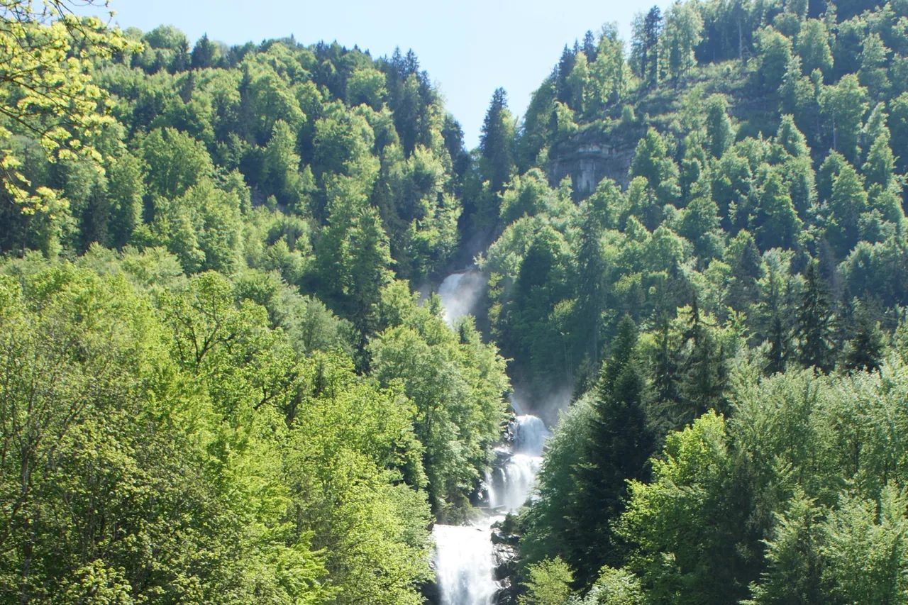 Water descending the wooded Giessbach cascade