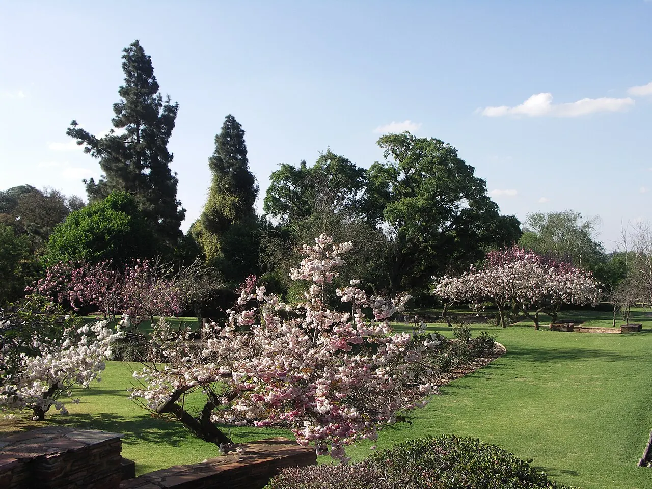 Formal rose-garden terraces at Johannesburg Botanical Garden