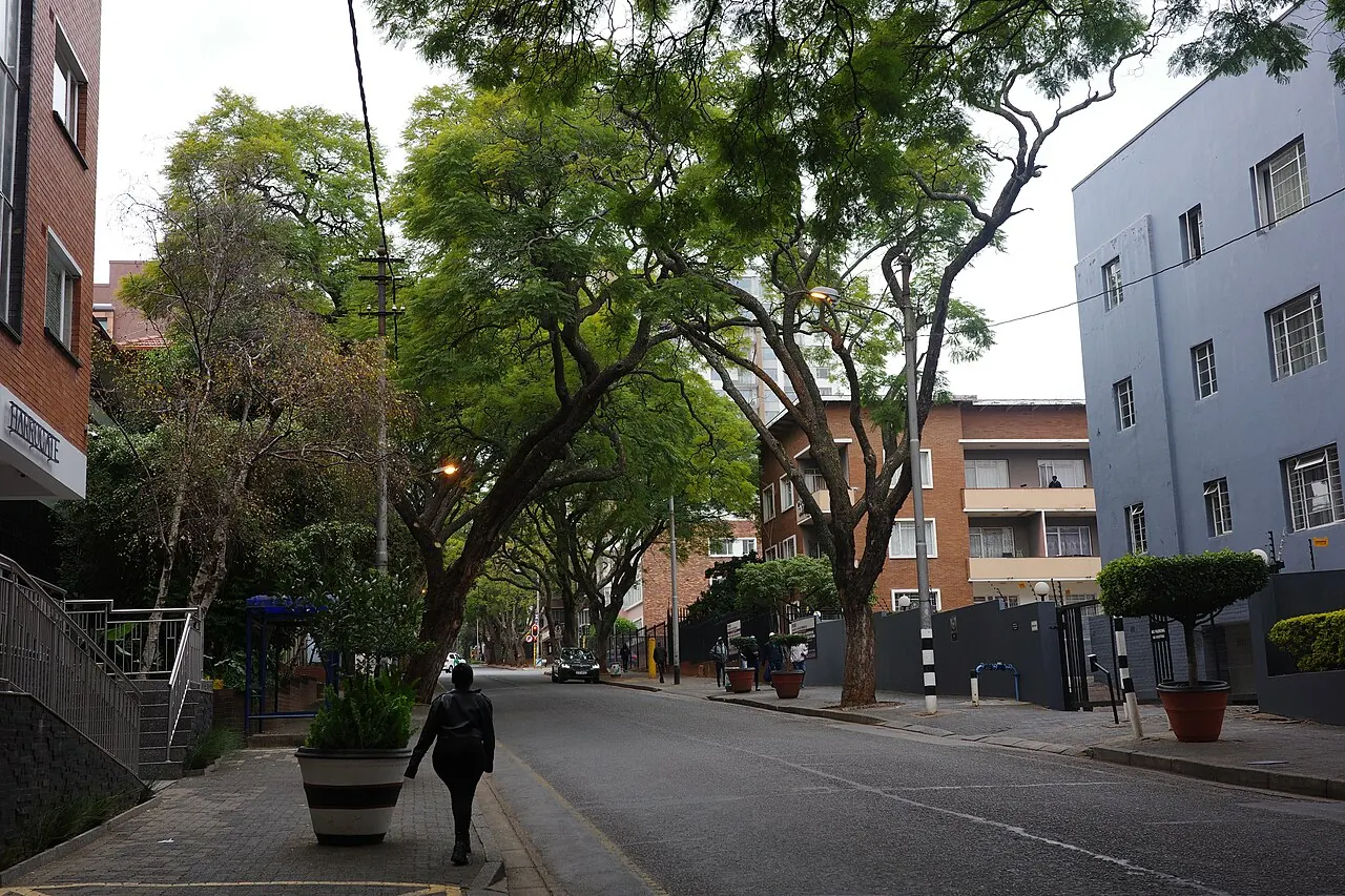 Tyrwhitt Street in Johannesburg's Rosebank neighbourhood in June 2026