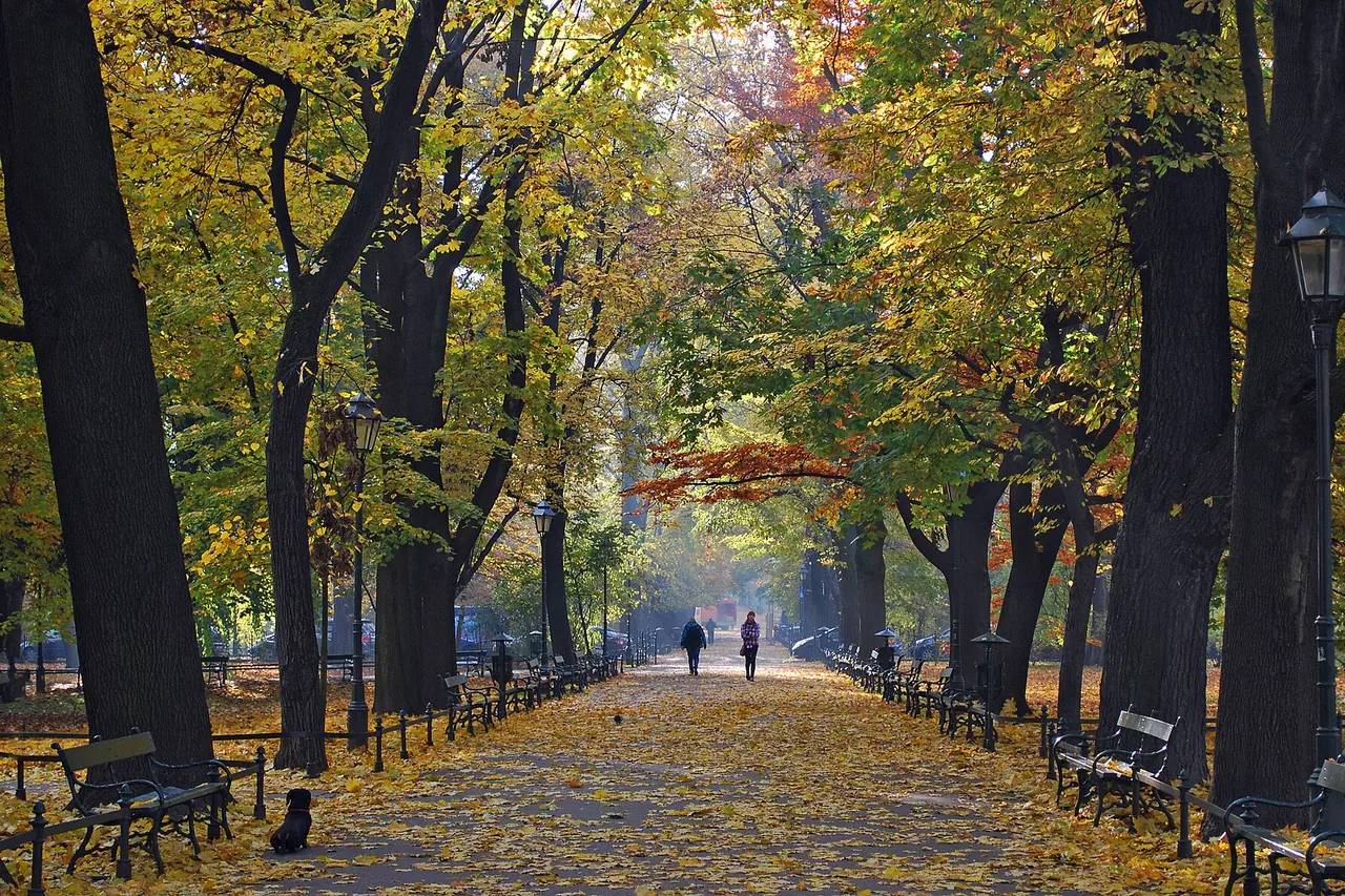 A tree-lined walking path and benches in Krakow's Planty Park in autumn