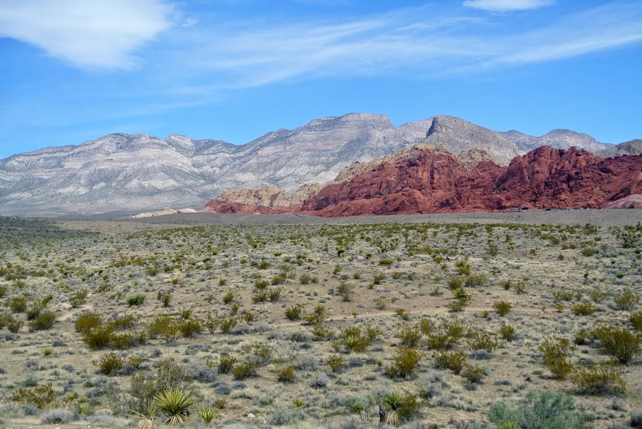 Red sandstone formations and desert vegetation in Red Rock Canyon