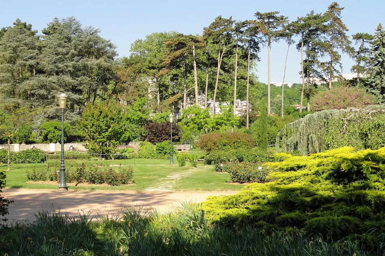 Trees, paths and botanical garden planting in Parc de la Tete d'Or, Lyon
