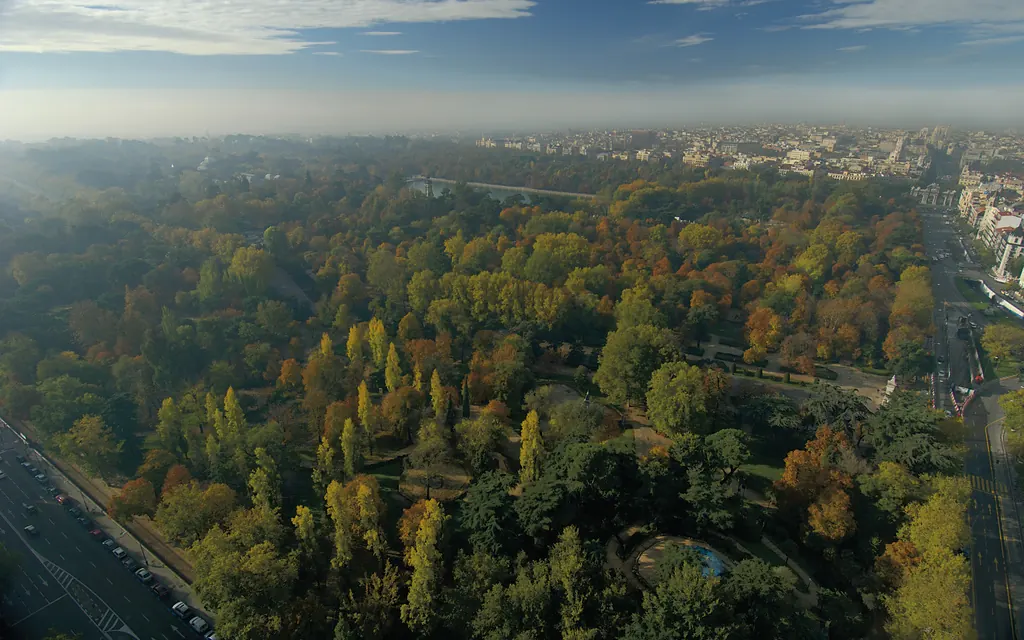 El Retiro's wooded parkland and paths seen in an aerial view