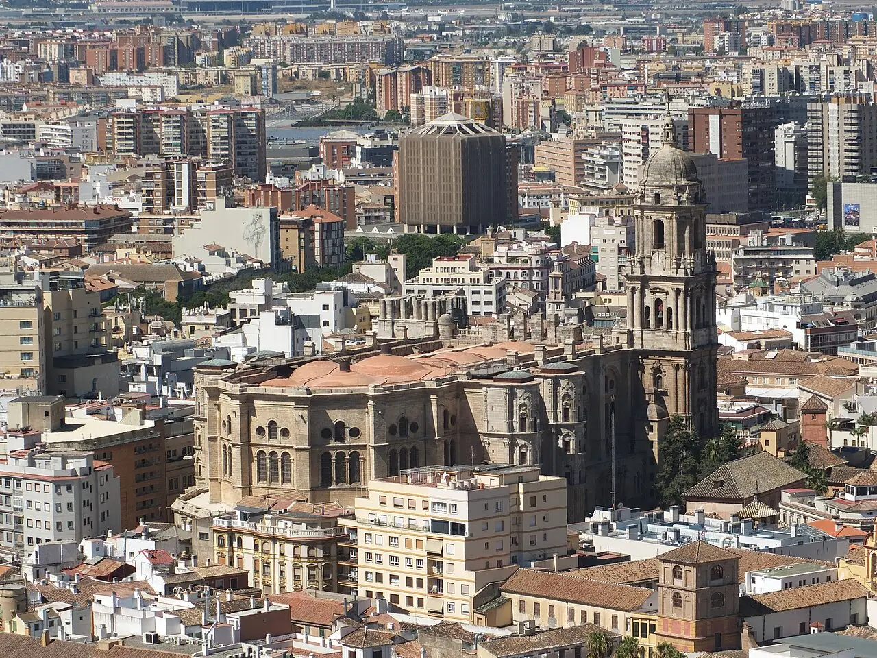 Malaga Cathedral rising above the surrounding streets