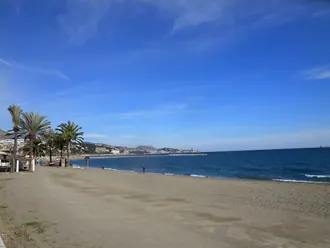 The sand, palms and Mediterranean shoreline of Malagueta beach