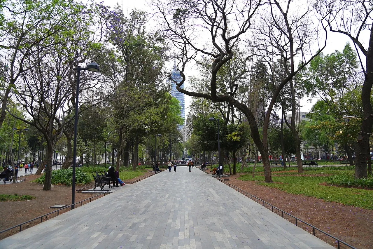 Tree-lined paths and planting in Alameda Central