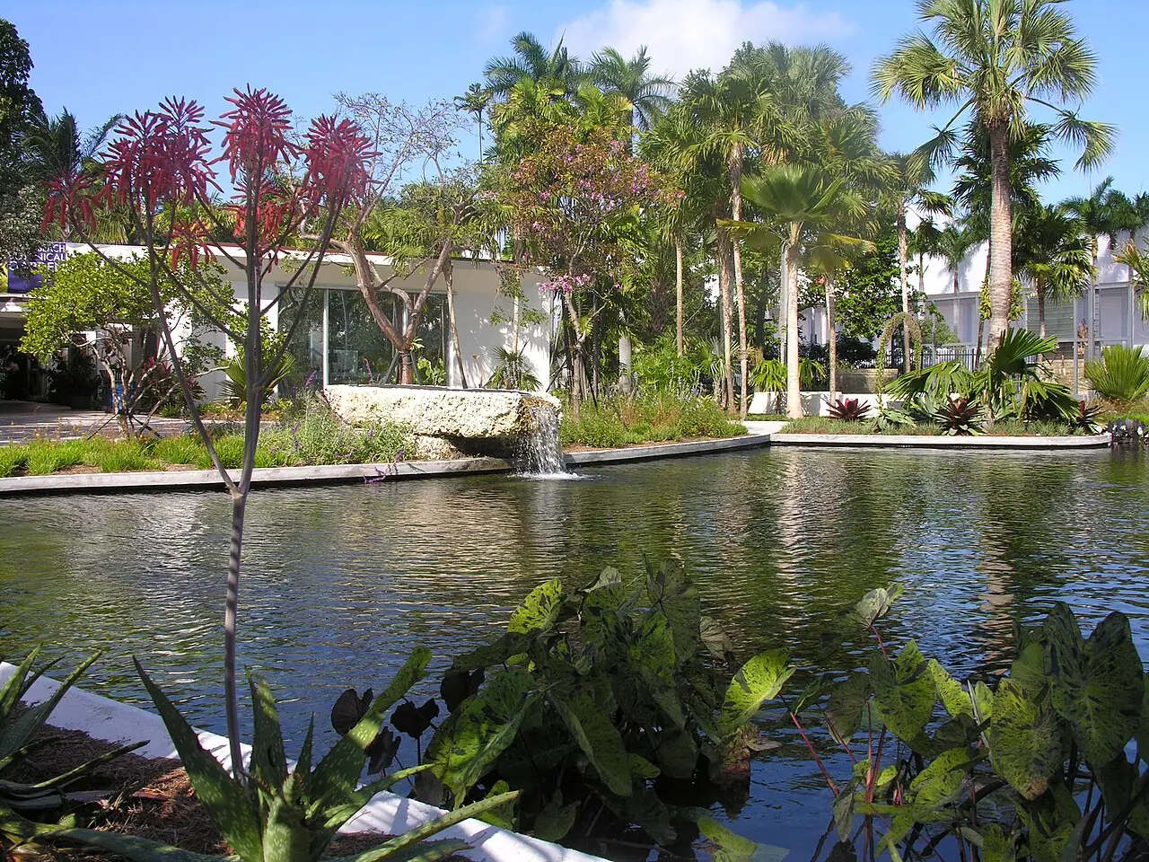 The pond and tropical planting in Miami Beach Botanical Garden