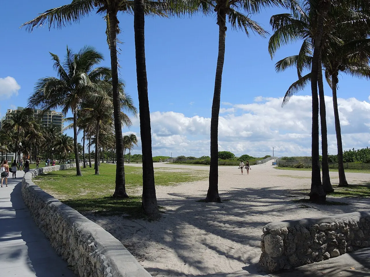 The palms, promenade and beach at Lummus Park
