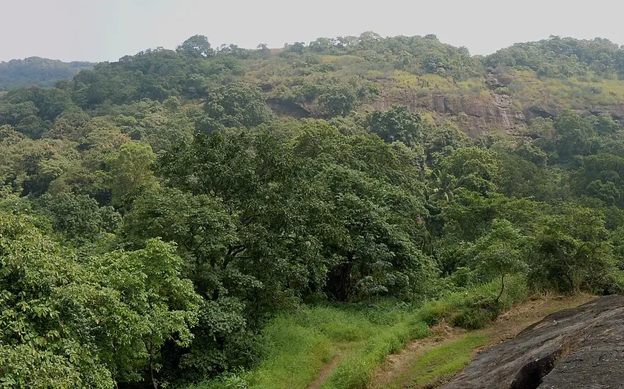 Wooded hills and water within Sanjay Gandhi National Park