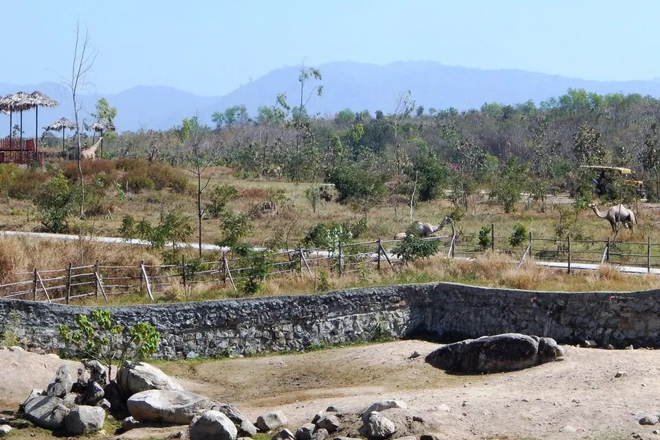 A managed animal enclosure and landscaped terrain inside Naypyidaw Safari Park