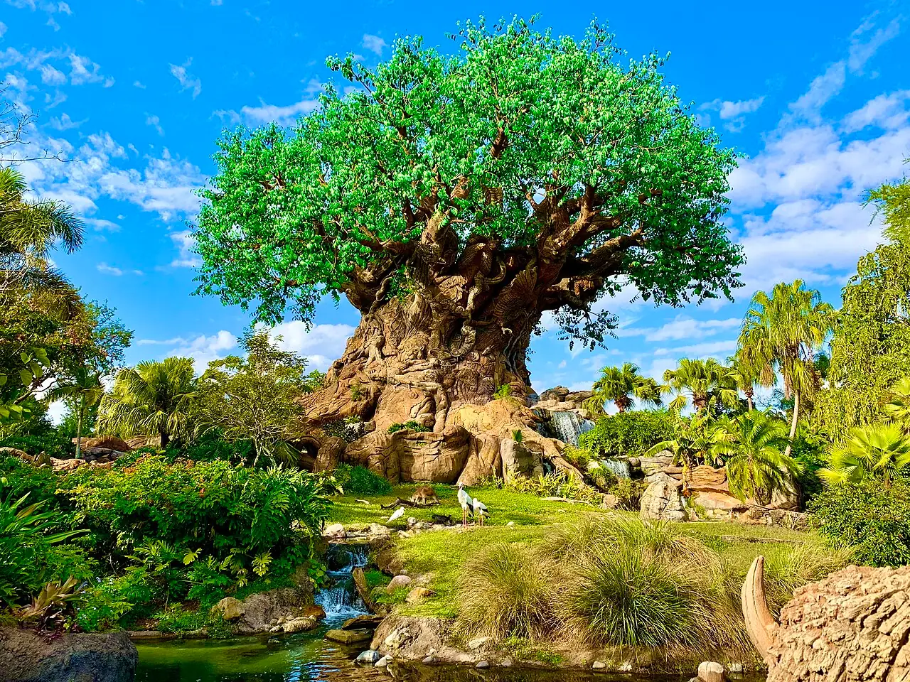 The sculpted Tree of Life at Disney's Animal Kingdom