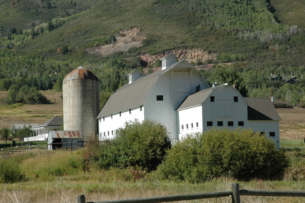 Die Scheune der McPolin Farmstead in Park City