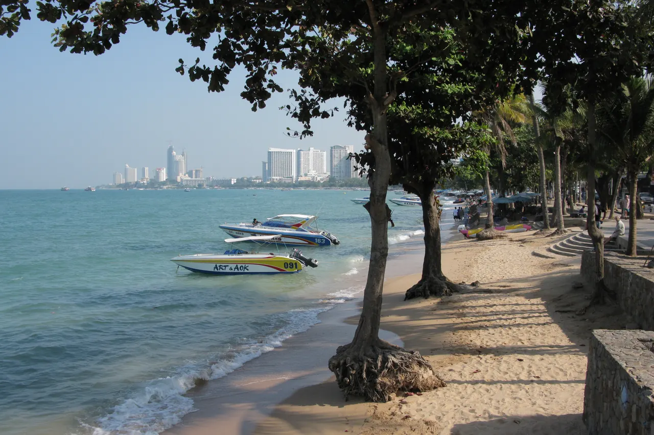 Trees and the urban shoreline beside central Pattaya Beach