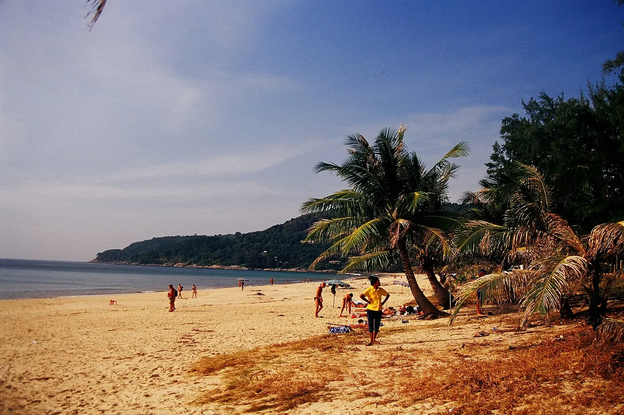The broad sandy shoreline and palms at Karon Beach in an archival coastal photograph