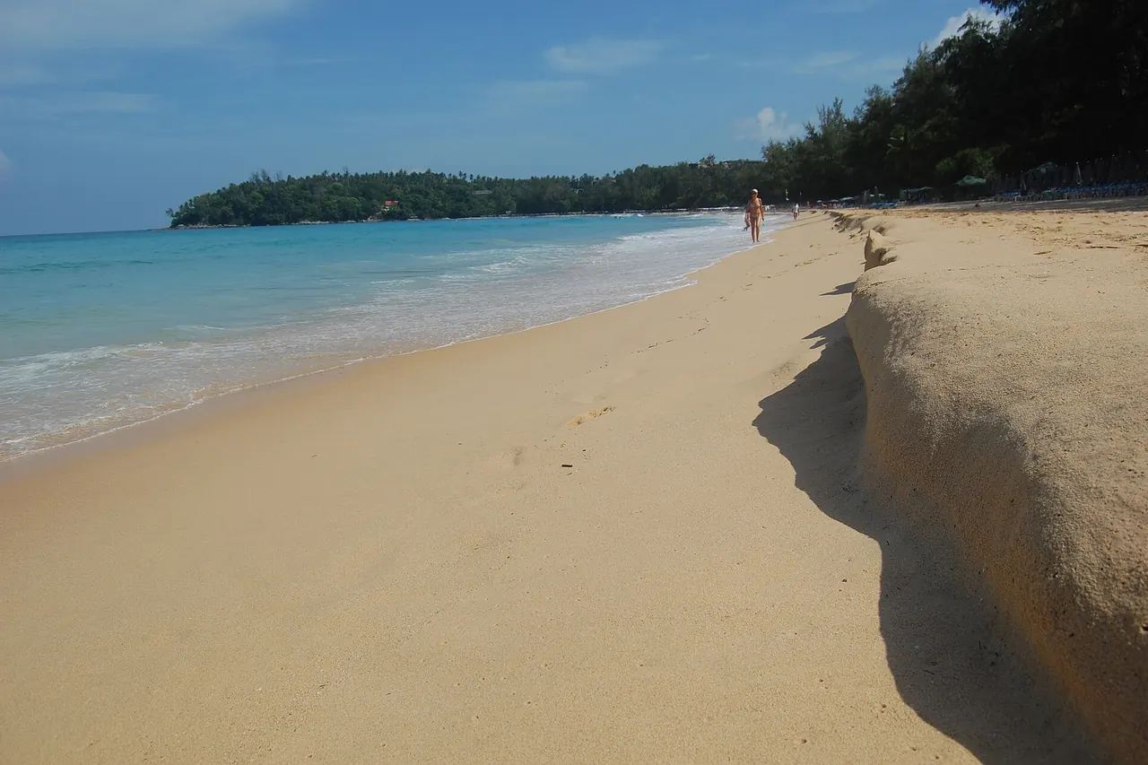 The sandy shoreline, blue water and small offshore island at Kata Beach