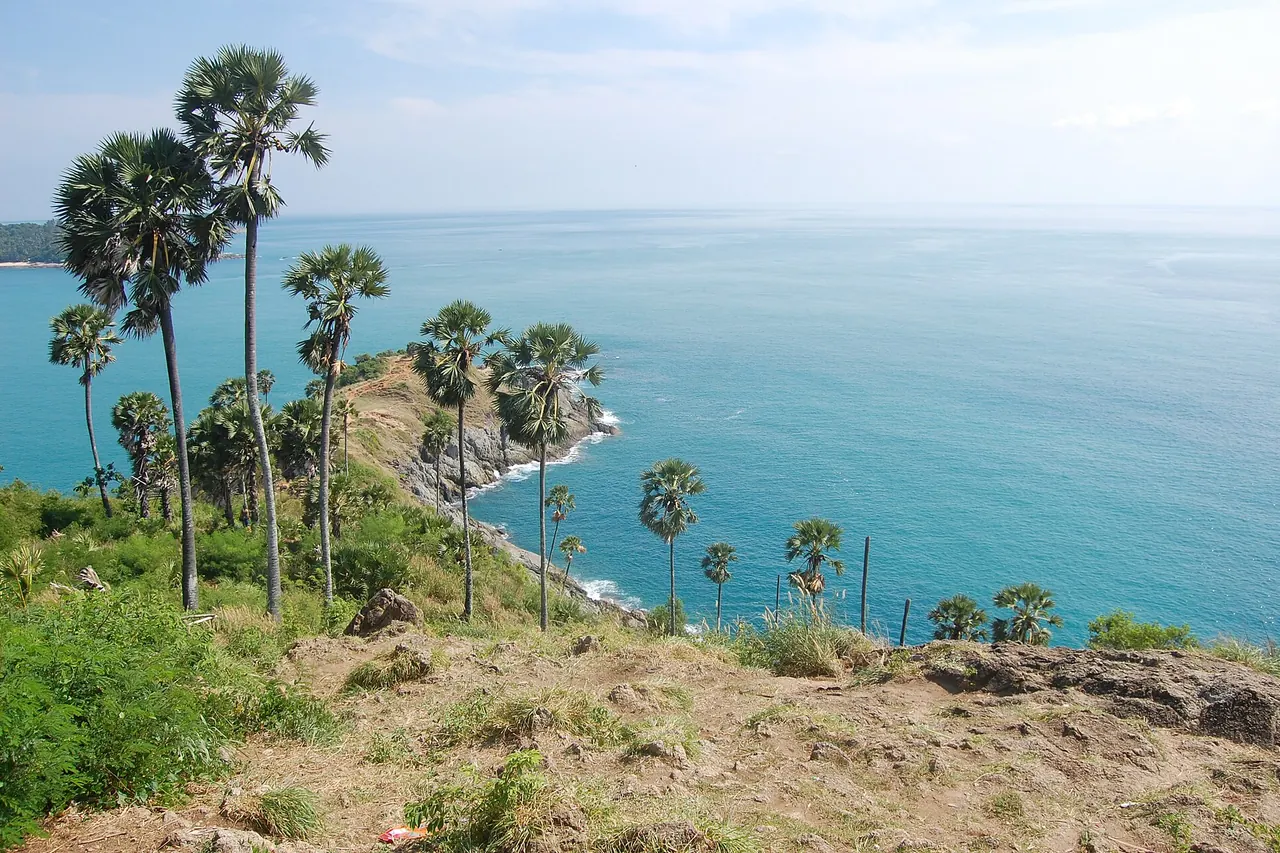 Palms, coastal slopes and the Andaman Sea seen from Promthep Cape