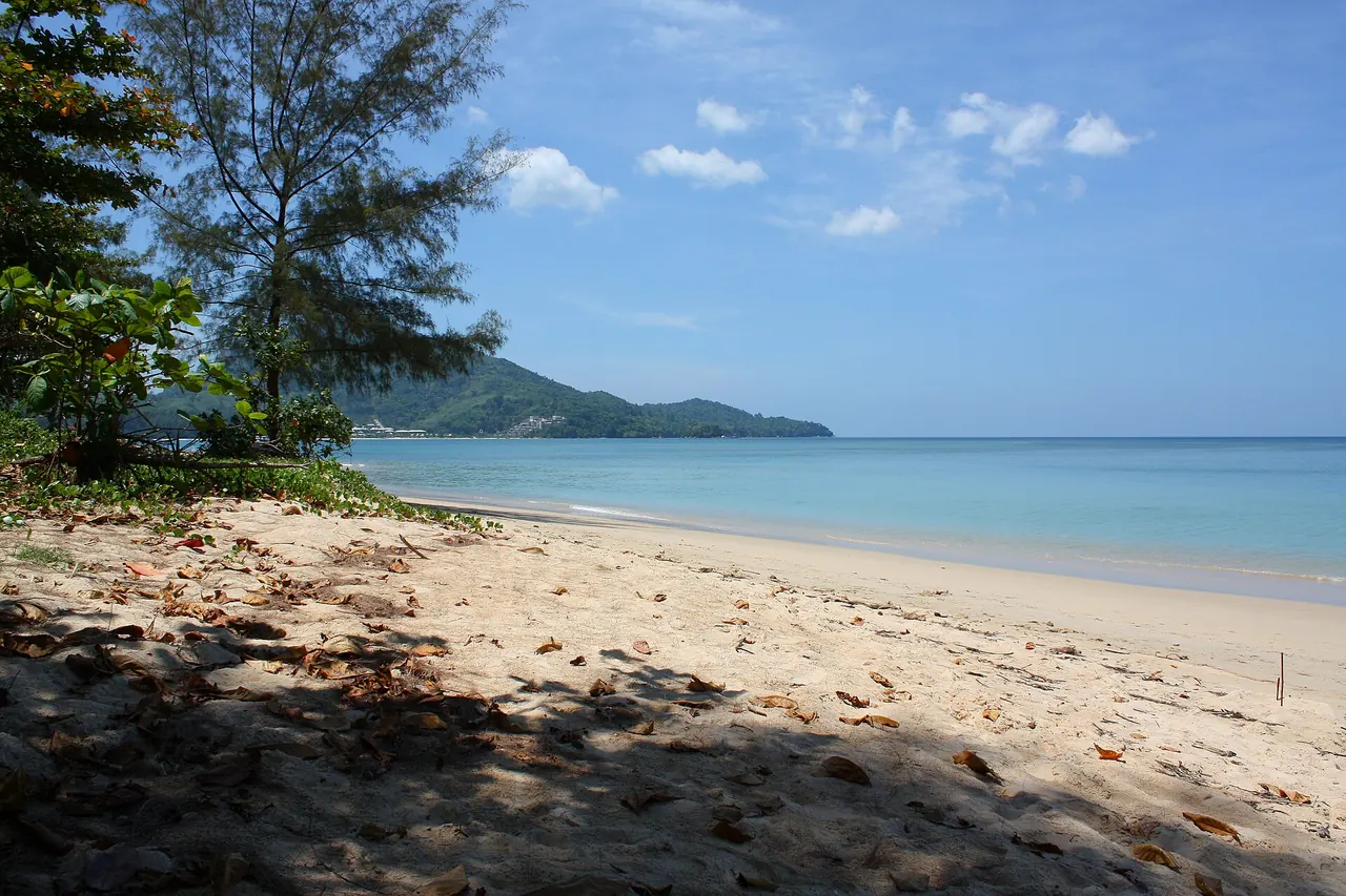 Casuarina trees and the sandy Nai Yang shoreline in the Sirinat National Park area