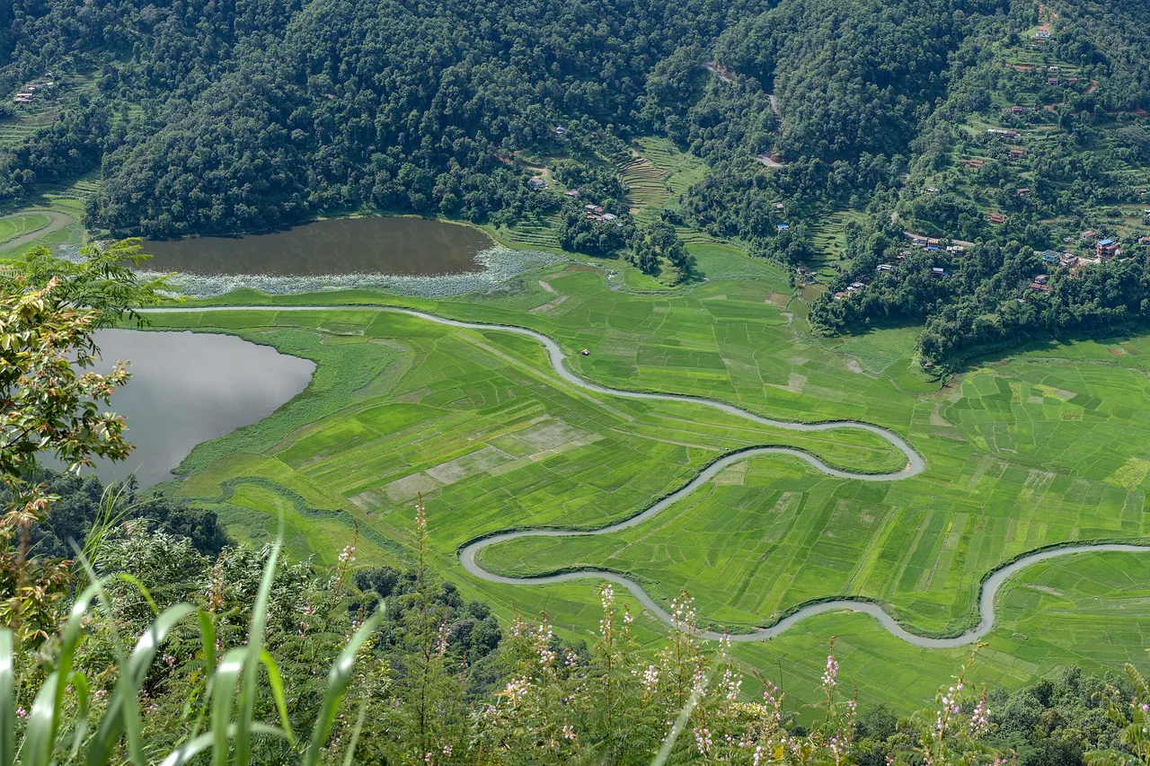 Rupa Lake beside fields and wooded slopes