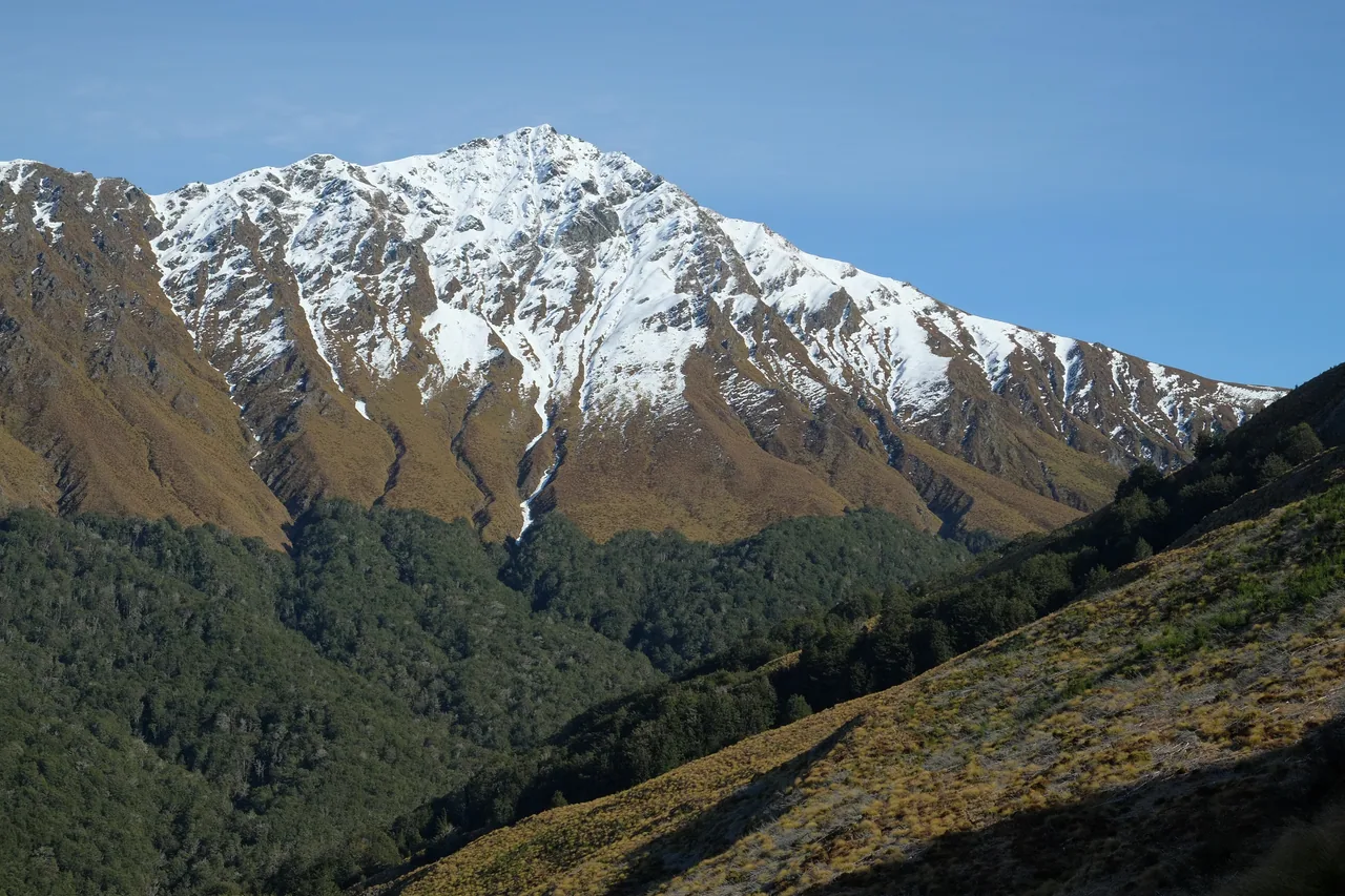 Snow-dusted Ben Lomond above the walking track