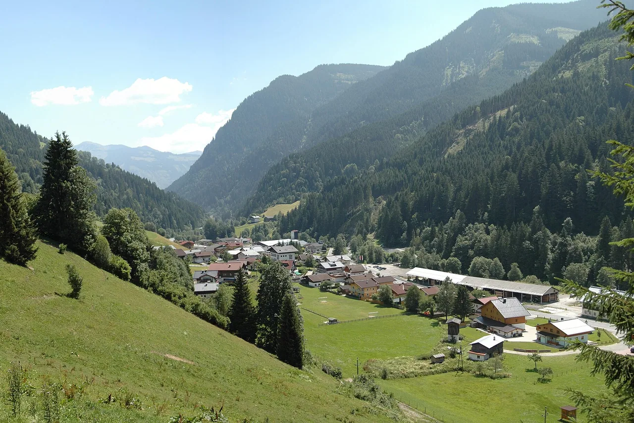 Viehhofen im unteren Glemmtal