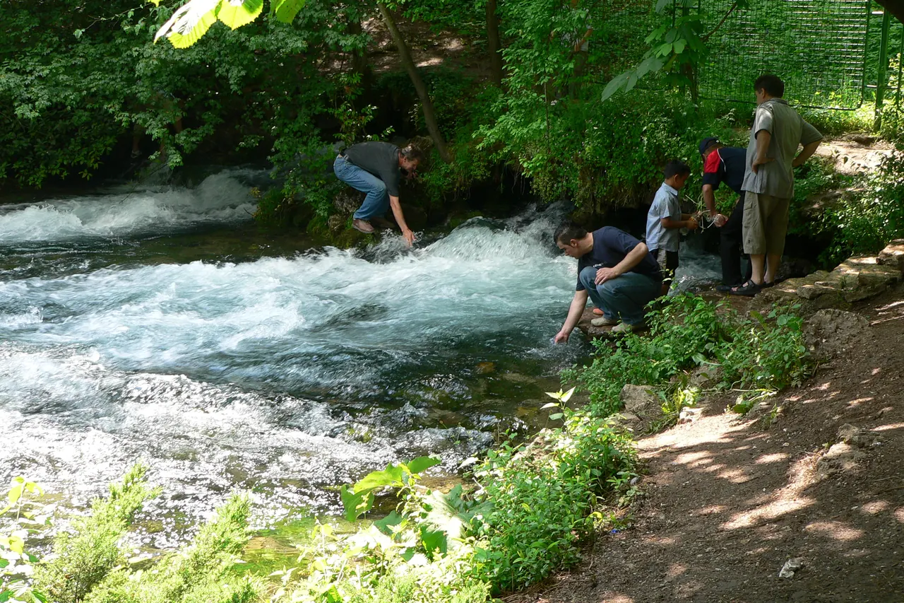 Klares Wasser, Fußgängerbrücken und Bäume rund um die Quellen von Vrelo Bosne