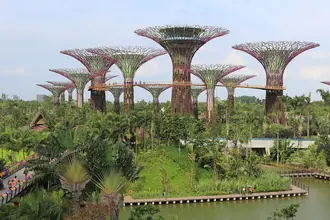 Supertree Grove's tree-shaped structures at Gardens by the Bay