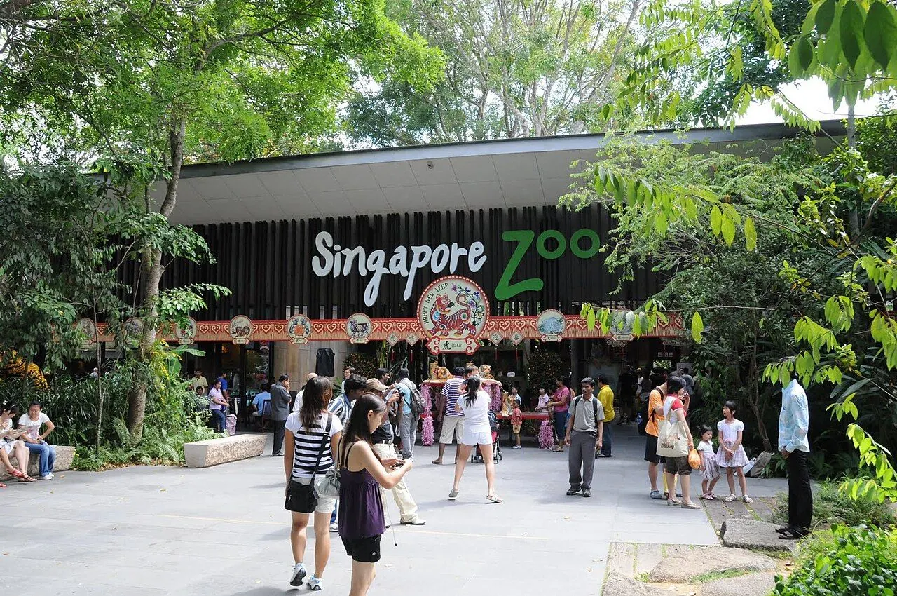 Beschilderter Eingang und gestalteter Ankunftsbereich des Zoo Singapur in Mandai