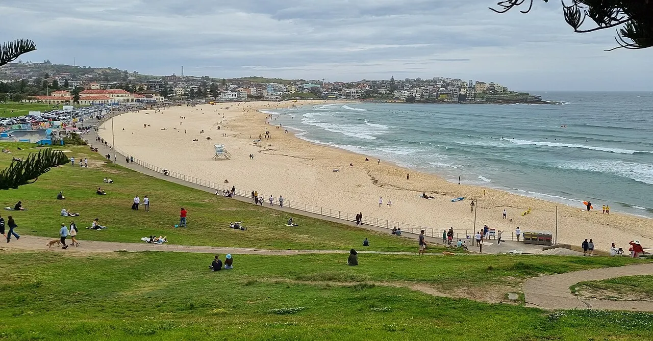 Bondi Beach's curved sand and surf seen from its grassy edge