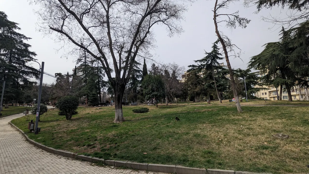 Paths and trees in Vera Park in Tbilisi