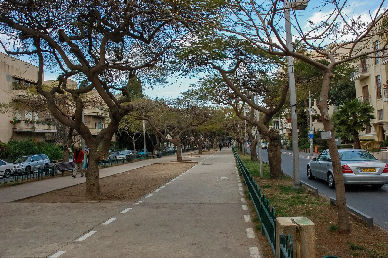 A shaded walking and cycling path on Rothschild Boulevard