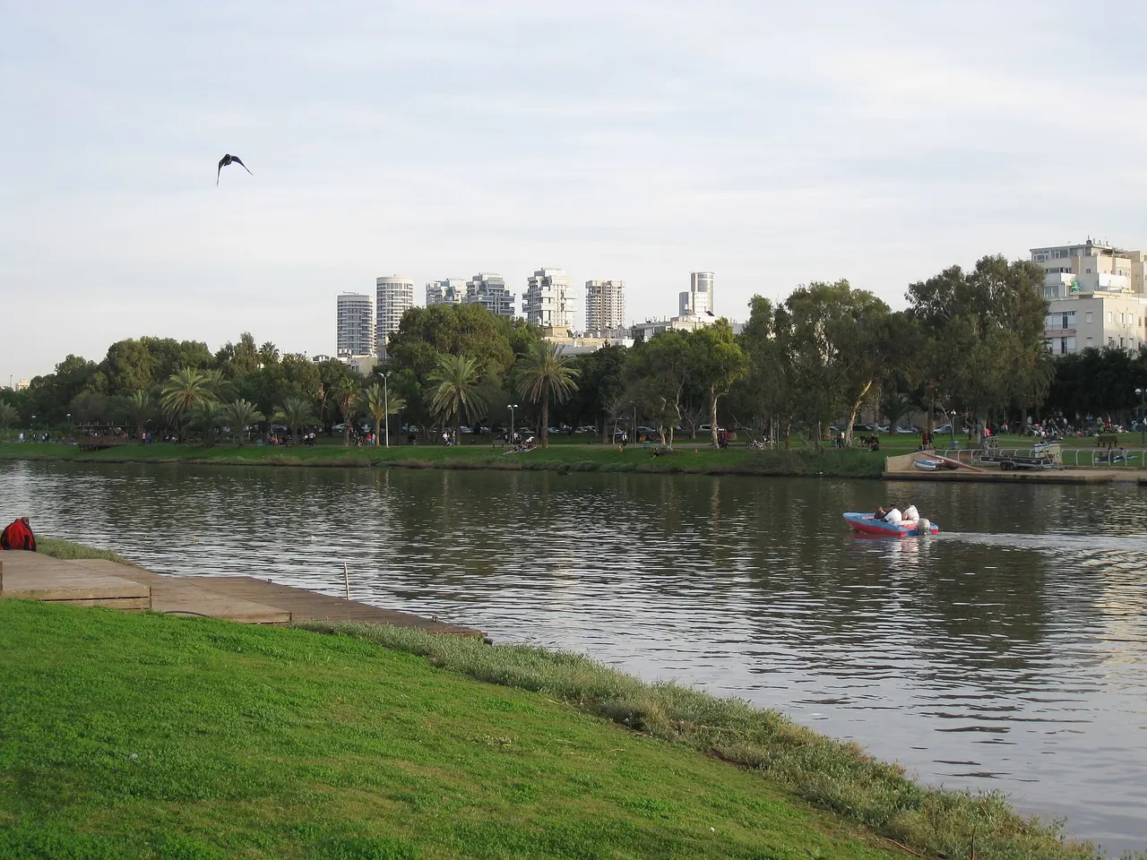 Grass and trees beside the river in Yarkon Park