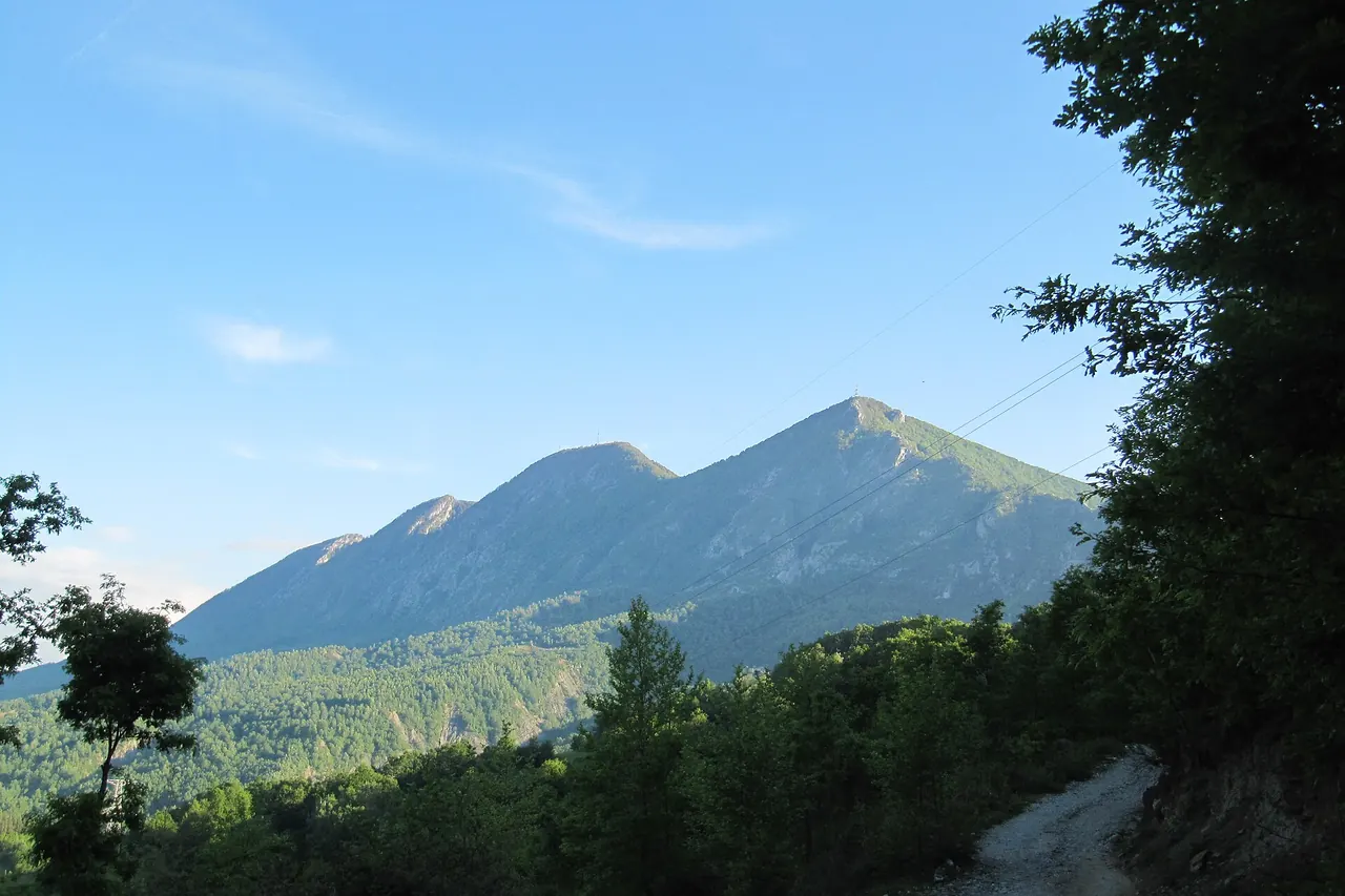 The wooded slopes and mountain ridge of Mount Dajti east of Tirana