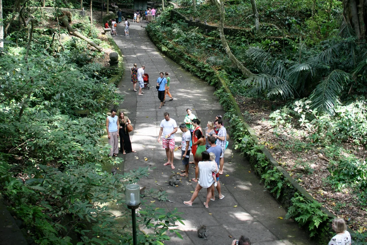 Besucher auf einem schattigen Weg durch den Affenwald von Ubud