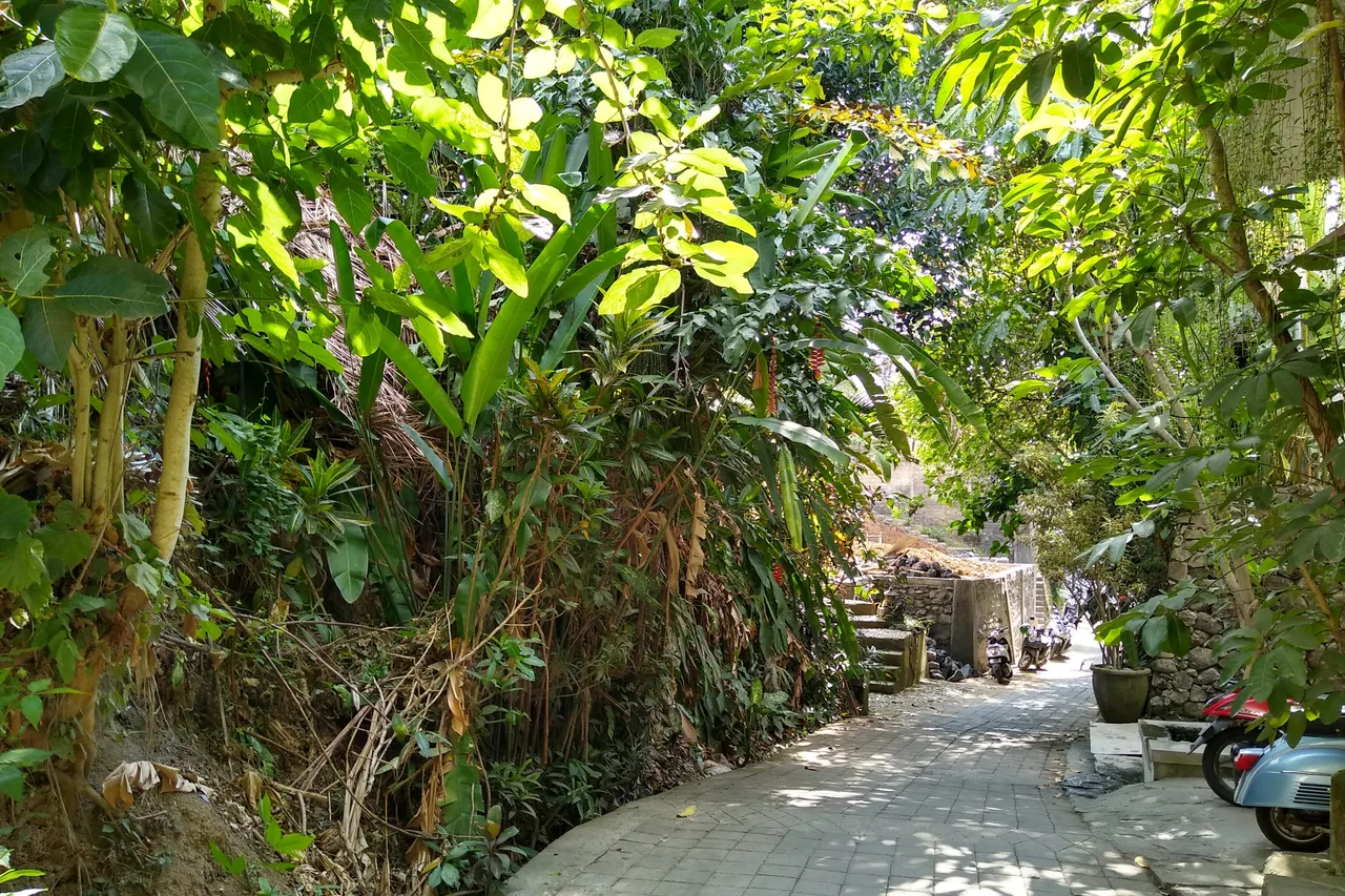 Eine Dorfgasse und Gebäude in Penestanan